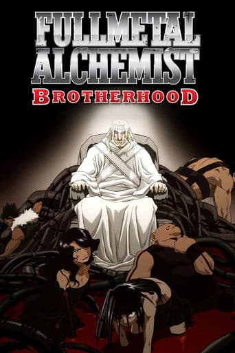 Fullmetal Alchemist: Brotherhood